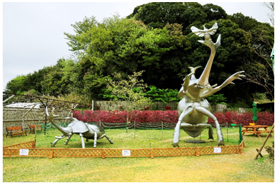 場所：掛川花鳥園